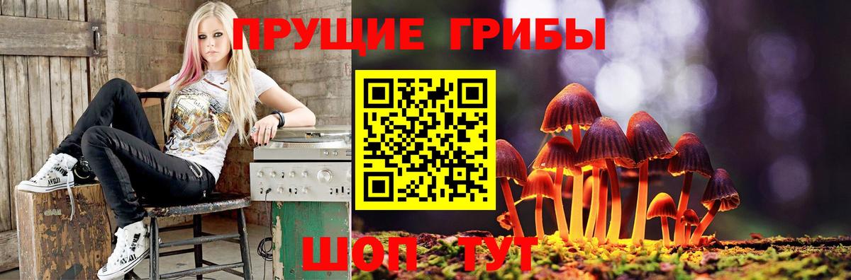 Псилоцибиновые грибы GOLDEN TEACHER  Вход с VPN  Рассказово 